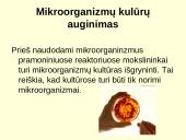 Biotechnologijų įvadas 8 puslapis