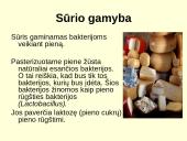 Biotechnologijų įvadas 10 puslapis