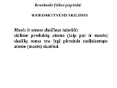 Branduolio fizikos pagrindai 11 puslapis