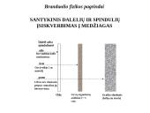 Branduolio fizikos pagrindai 13 puslapis