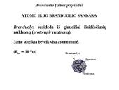 Branduolio fizikos pagrindai 3 puslapis