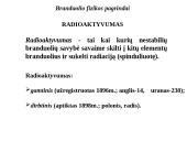 Branduolio fizikos pagrindai 7 puslapis