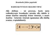 Branduolio fizikos pagrindai 8 puslapis