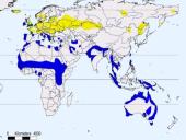 Būrio sėjikiniai paukščiai (Charadriiformes). Sistematika ir kai kurių rūšių paplitimo arealai 17 puslapis