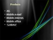 Business plan: mobile phone company "BITĖ" 14 puslapis