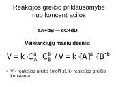 Cheminė kinetika 10 puslapis