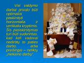 Centralizuotų ir decentralizuotų organizacijų pranašumų nustatymas 14 puslapis