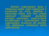Centralizuotų ir decentralizuotų organizacijų pranašumų nustatymas 16 puslapis