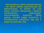 Centralizuotų ir decentralizuotų organizacijų pranašumų nustatymas 17 puslapis