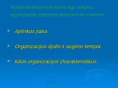 Centralizuotų ir decentralizuotų organizacijų pranašumų nustatymas 9 puslapis