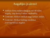 Centrinės Afrikos augalijos ir gyvūnijos įvairovė bei biologiniai ištekliai 3 puslapis