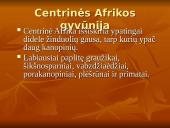 Centrinės Afrikos augalijos ir gyvūnijos įvairovė bei biologiniai ištekliai 7 puslapis