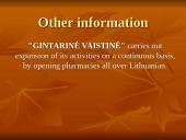 Company analysis: "Gintarinė vaistinė" 12 puslapis