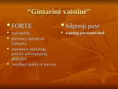 Company analysis: "Gintarinė vaistinė" 13 puslapis
