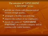 Company analysis: "Gintarinė vaistinė" 3 puslapis
