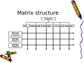 Company's organization structures 9 puslapis