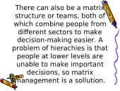 Company's organization structures 10 puslapis