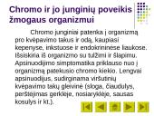 Chromo savybės 7 puslapis