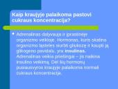 Cukraus kiekio reguliavimas kraujyje 2 puslapis