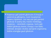 Cukraus kiekio reguliavimas kraujyje 4 puslapis