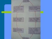 Cukraus kiekio reguliavimas kraujyje 6 puslapis