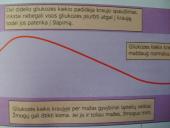 Cukraus kiekio reguliavimas kraujyje 8 puslapis