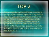 Apie Čilę  13 puslapis