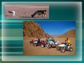 Apie Čilę  6 puslapis