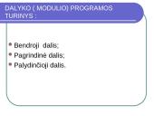 Dalyko (modulio) programos parengimo žingsniai 2 puslapis