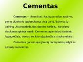 Danties kaip organo histologinė struktūra 14 puslapis