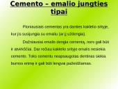 Danties kaip organo histologinė struktūra 18 puslapis