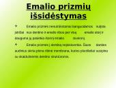 Danties kaip organo histologinė struktūra 6 puslapis