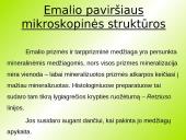 Danties kaip organo histologinė struktūra 8 puslapis