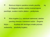 Danties kaip organo histologinė struktūra 9 puslapis