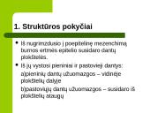 Dantų struktūros ir chemines sudėties amžiniai kitimai 2 puslapis
