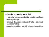 Dantų struktūros ir chemines sudėties amžiniai kitimai 12 puslapis