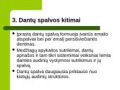 Dantų struktūros ir chemines sudėties amžiniai kitimai 16 puslapis