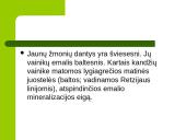 Dantų struktūros ir chemines sudėties amžiniai kitimai 17 puslapis