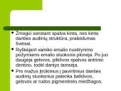 Dantų struktūros ir chemines sudėties amžiniai kitimai 18 puslapis