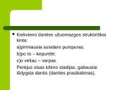 Dantų struktūros ir chemines sudėties amžiniai kitimai 3 puslapis