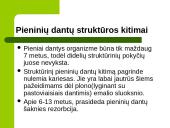 Dantų struktūros ir chemines sudėties amžiniai kitimai 4 puslapis