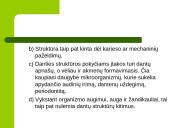 Dantų struktūros ir chemines sudėties amžiniai kitimai 7 puslapis