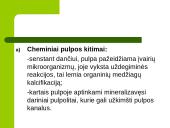 Dantų struktūros ir chemines sudėties amžiniai kitimai 10 puslapis