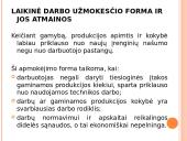 Darbo apmokėjimo principai 12 puslapis