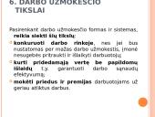 Darbo apmokėjimo principai 17 puslapis