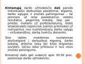 Darbo apmokėjimo principai 5 puslapis