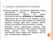 Darbo apmokėjimo principai 8 puslapis