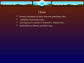 Darbo drausmės pažeidimas. Darbuotojų teisės 2 puslapis