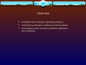 Darbo drausmės pažeidimas. Darbuotojų teisės 3 puslapis