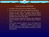 Darbo drausmės pažeidimas. Darbuotojų teisės 10 puslapis